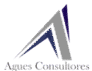 Agues Consultores